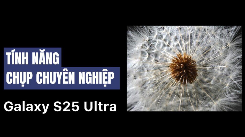 Chụp ảnh chuyên nghiệp trên camera Galaxy S25 Ultra